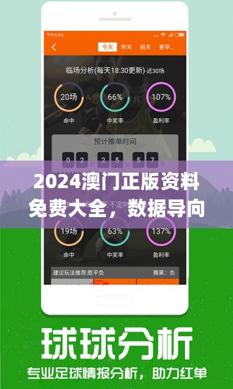 2024新澳门正版精准免费大全|精选解释解析落实